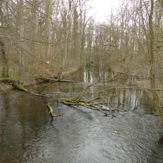 Nebeltal mit Zuflüssen, verbundenen Seen und angrenzenden Wäldern
