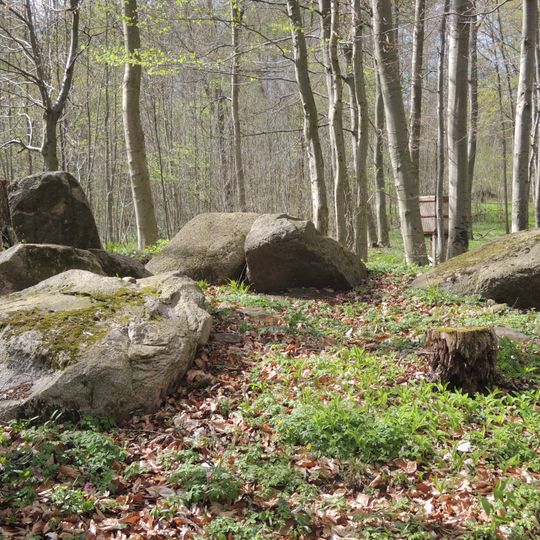 Großsteingrab Vogelsang