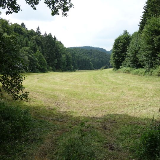 LSG-Brabecke und Gellinghauser Bach mit Seitentaelern von noerdlich Brabecke bis Osterwald und suedlich Boedefeld <Typ C>