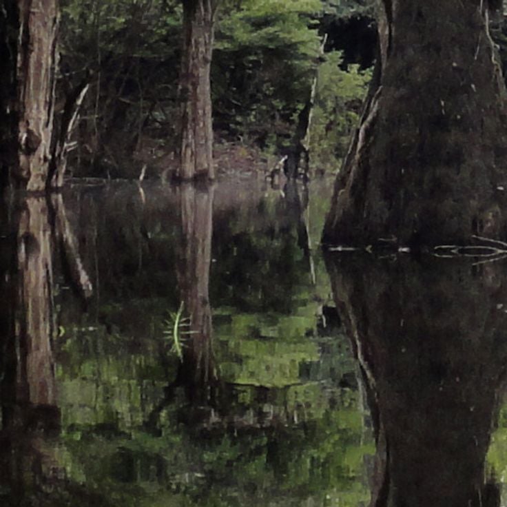Parc National Anavilhanas