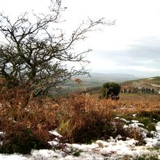 Quantock Hills