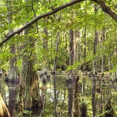 First Landing State Park