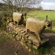 Sheep