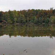 Insel im Marstadter See