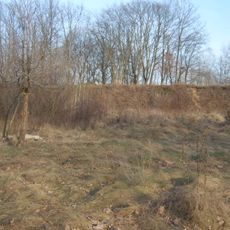 Jewish cemetery in Popowo Kościelne