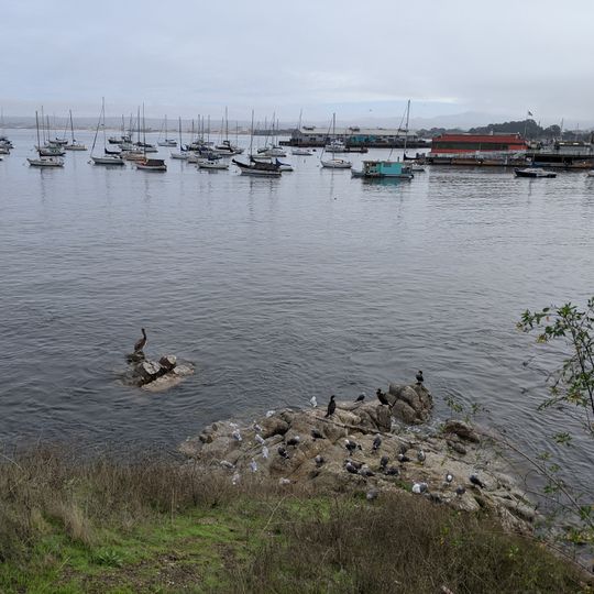 Edward F. Ricketts State Marine Conservation Area