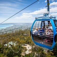 Arthurs Seat Eagle