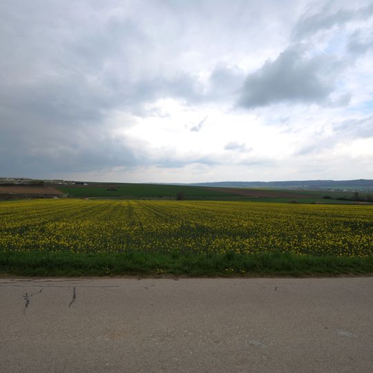 Fundzone Zwischen den Wegen / Teichfeld