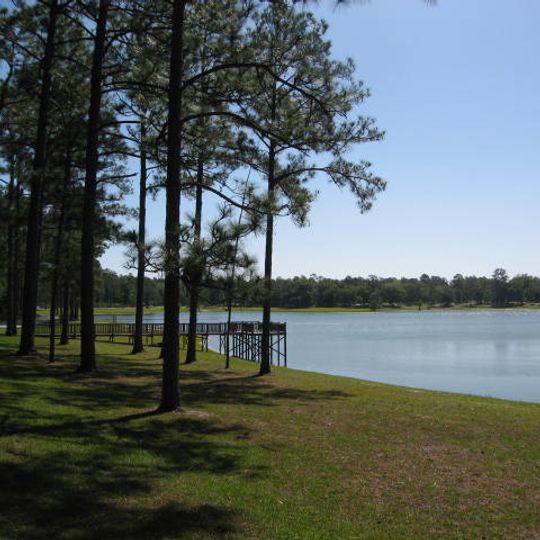 Conecuh National Forest