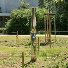 Circus horses have always been a dream for me