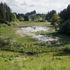 LSG Toteiskessel zwischen Burggen und Bernbeuren