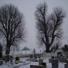 Ctiněves - lípa malolistá a jírovec maďal