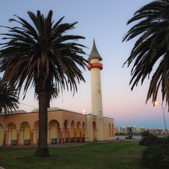 Museo Zoológico Dámaso Antonio Larrañaga
