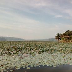 Vellayani Lake