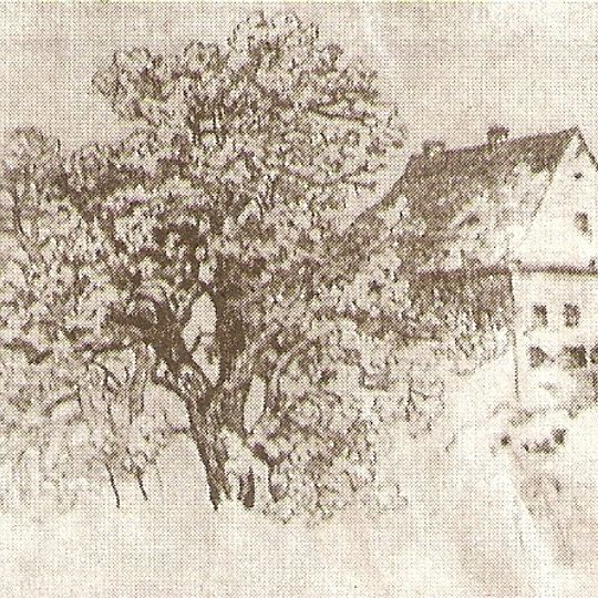 Burg Zolchow