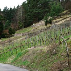 Steppenheidehang an der Gehrenhalde