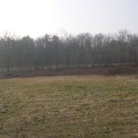 Cavaria con Premezzo