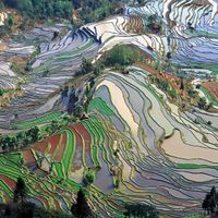 Yunnan
