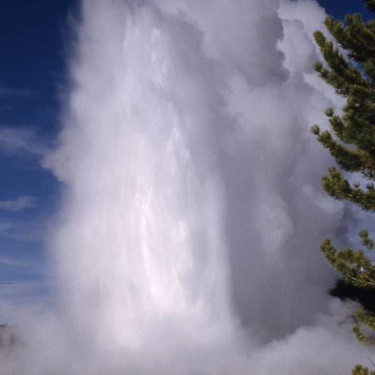 Giant Geyser