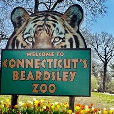 Connecticut’s Beardsley Zoo