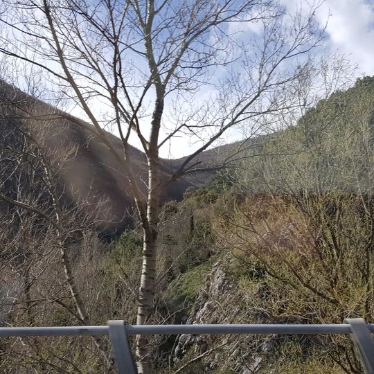 Palazzo del Capitano del Popolo