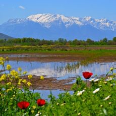 Parnassos National Park