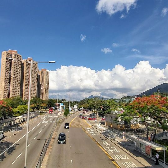 宏福苑 Wang Fuk Court