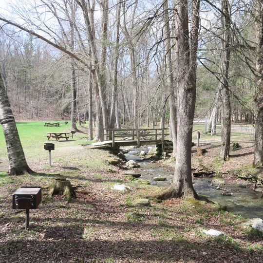 Pittsfield State Forest