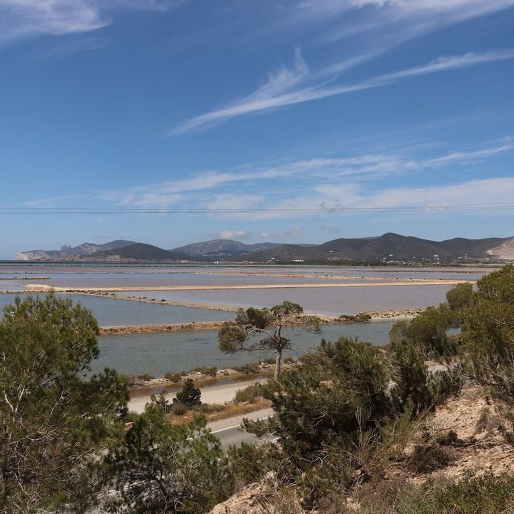 Ses Salines Natural Park