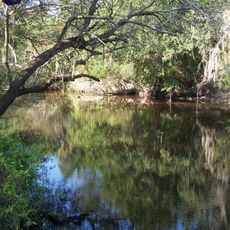 Parque estatal del río Little Manatee