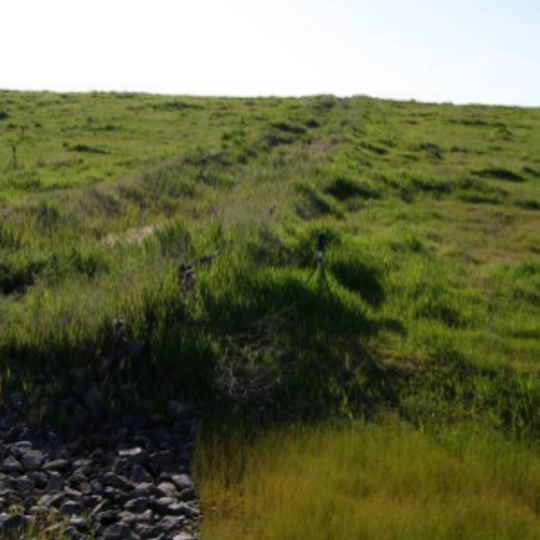 Fresno Sanitary Landfill