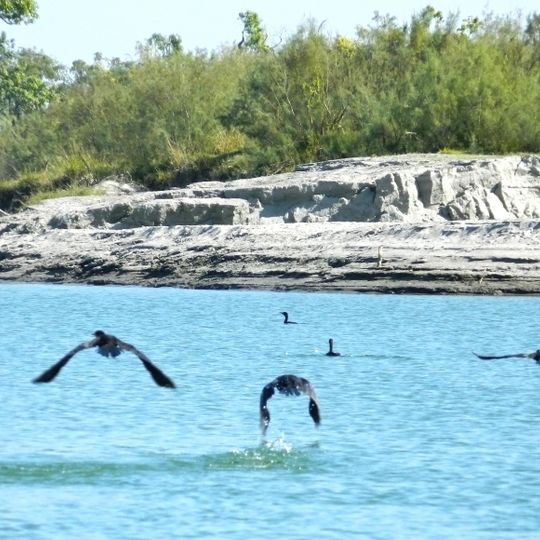 Parc national de Dibru-Saikhowa