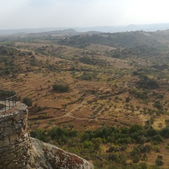 Castle of Fermoselle