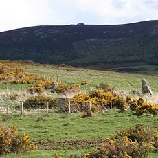Hatton of Ardoyne, stone circle 350m SE of