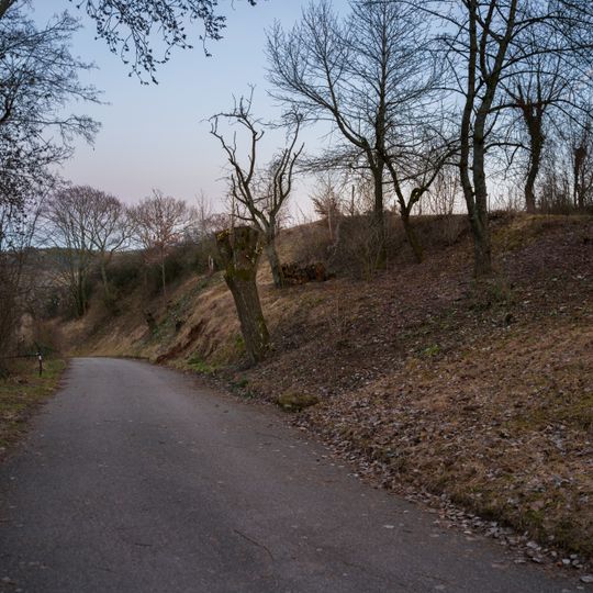 Magere Böschung mit Gehölzen