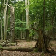 Freienholz (Kriegholz)