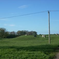 King's Court Palace moated site