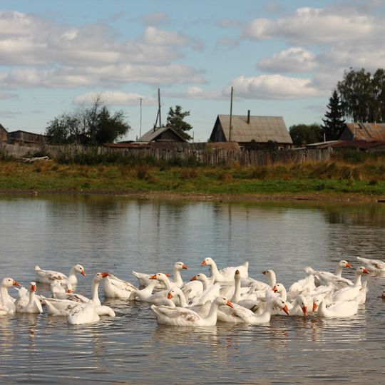 Odino, Kurgan Oblast