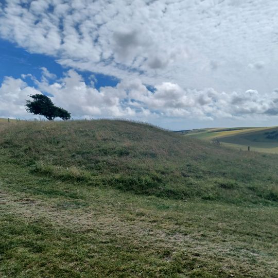 Bowl barrow on Edburton Hill, 380m west of the motte and bailey castle