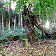 Kříž v dolní části zaniklé osady Libčice