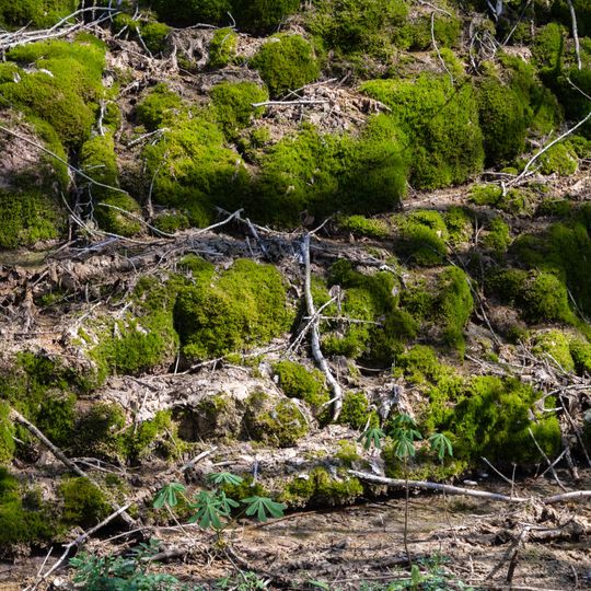 Albtrauf von der Friesener Warte zur Langen Meile
