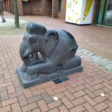 Dumbo