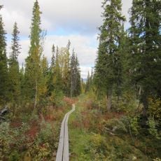 Kvikkjokk-Kabla fjällurskog