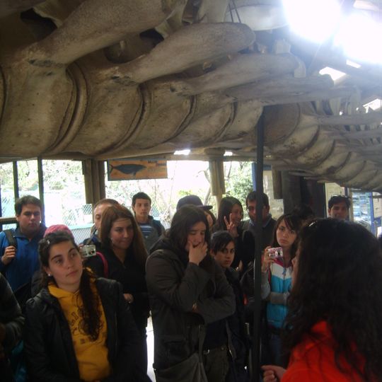Museo de Historia Natural e Histórico de San Antonio