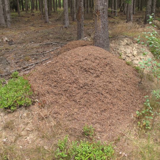 Přírodní park Manětínská