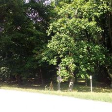 Kříž u parku v Pacově