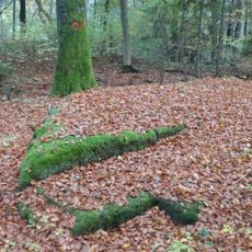 Cultural heritage D-5-6533-0111 Brunn (gemeindefreies Gebiet)