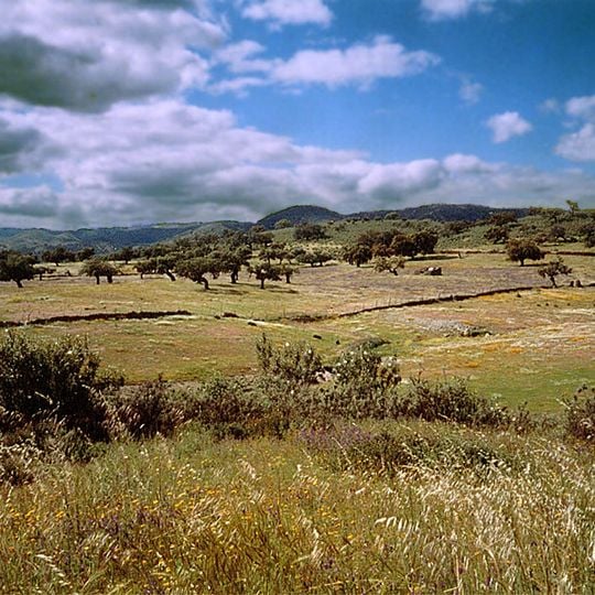 Sierra de Aracena and Picos de Aroche Natural Park
