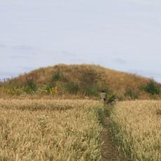 Örenäsgånggriften