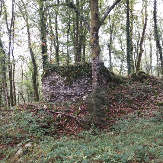 Château de Montrond